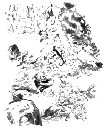 imagexx_madman