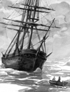 The Old Buccaneer