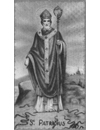 Saint Patrick